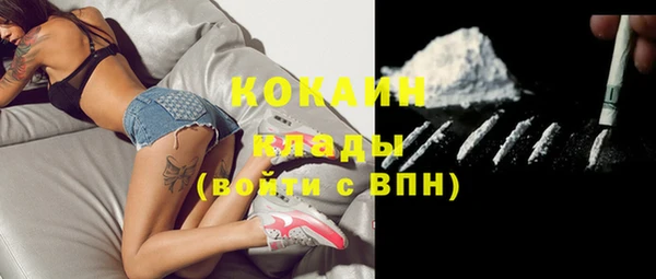 гашик Балахна
