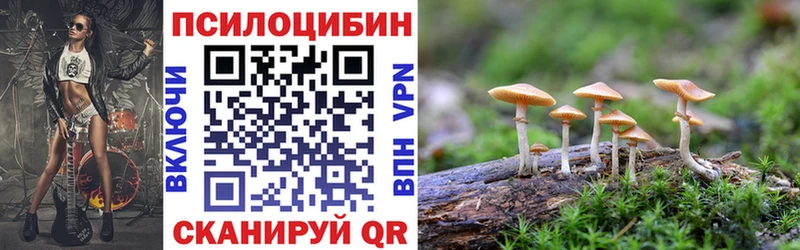 Галлюциногенные грибы MAGIC MUSHROOMS  Купить где  Воскресенск 